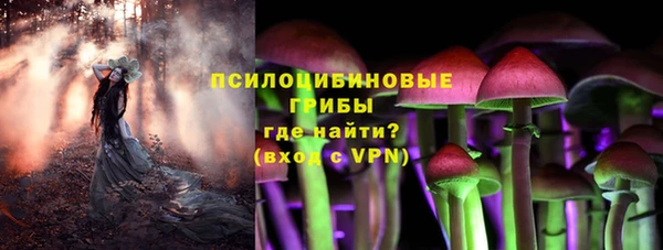 стаф Вязники