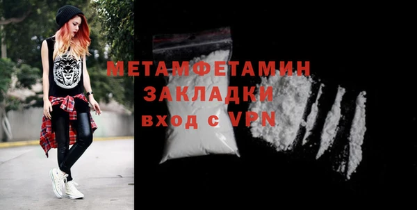 гидра Вязьма