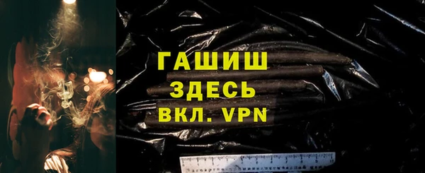 гидра Вязьма