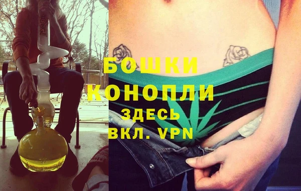 стаф Вязники