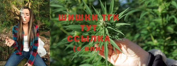 гидра Вязьма