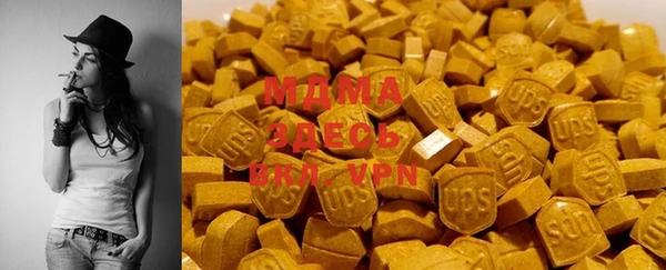 гидра Вязьма