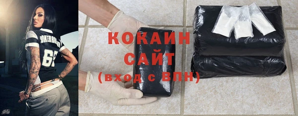 гидра Вязьма