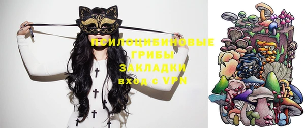 гидра Вязьма