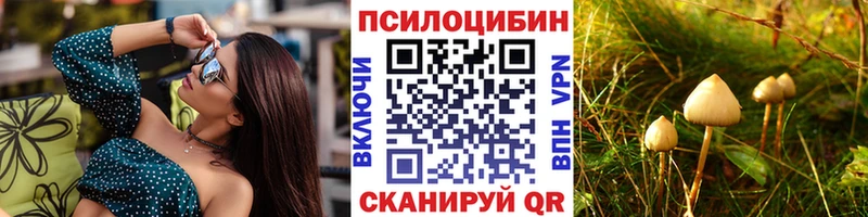 даркнет сайт  гидра онион  Галлюциногенные грибы Magic Shrooms  Новохопёрск 